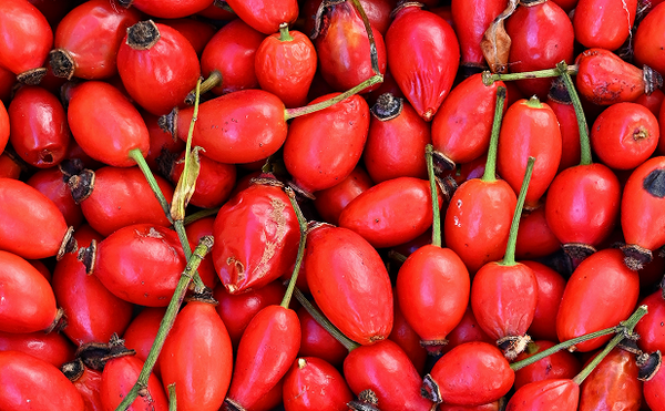 Rosehip Oil