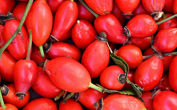 Organic Rosehip Seed Oil