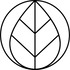 Regenerative Bamboo Handle